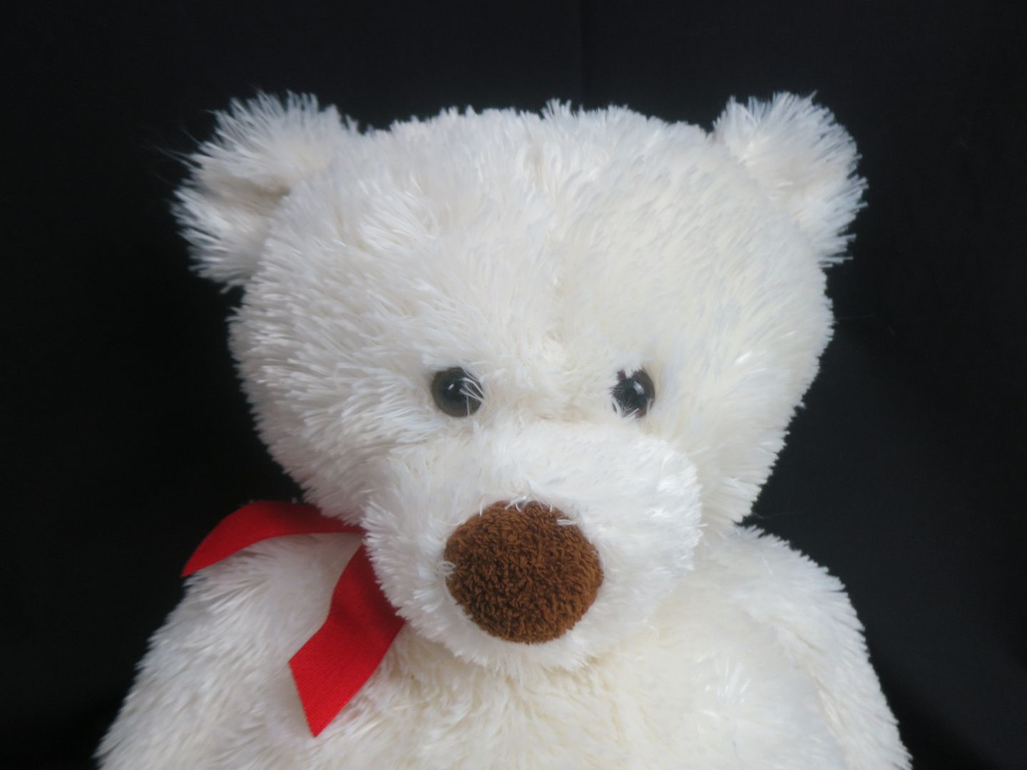 hallmark white teddy bear